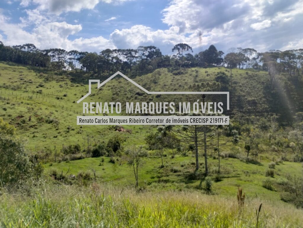 SITIO-PAULO-HERMINIO-2-1024x771