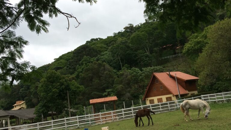 HARAS BARREIRO MARCELO