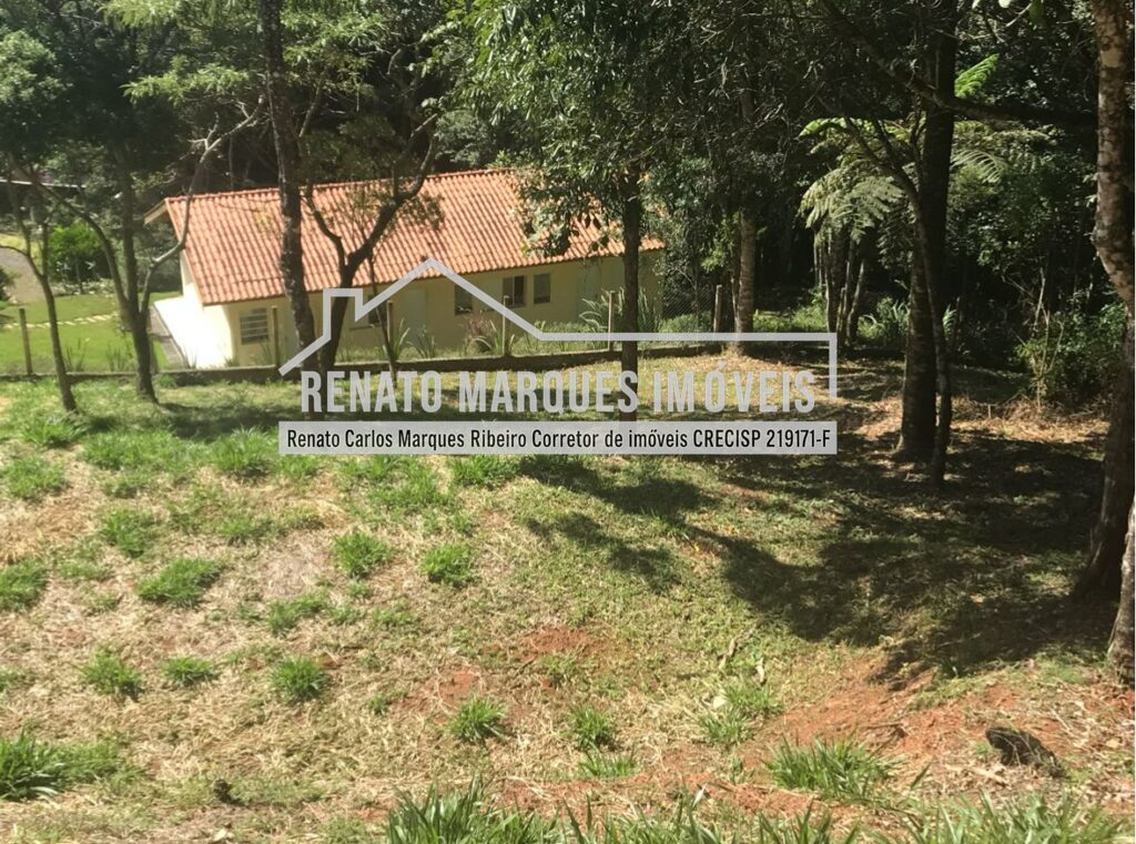 TERRENO-JONAS-2-1024x761