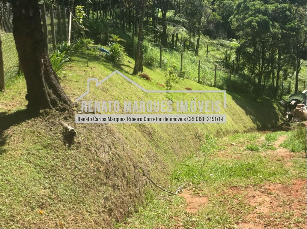 TERRENO-JONAS-3-1024x763