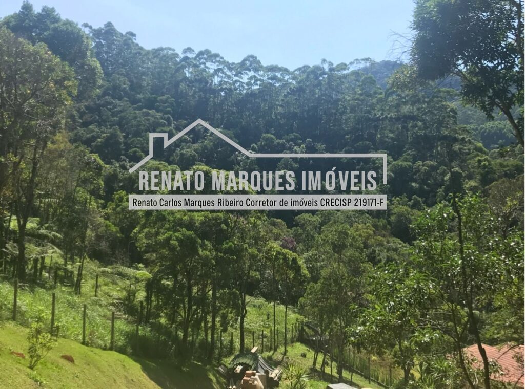 TERRENO-JONAS-4-1024x760