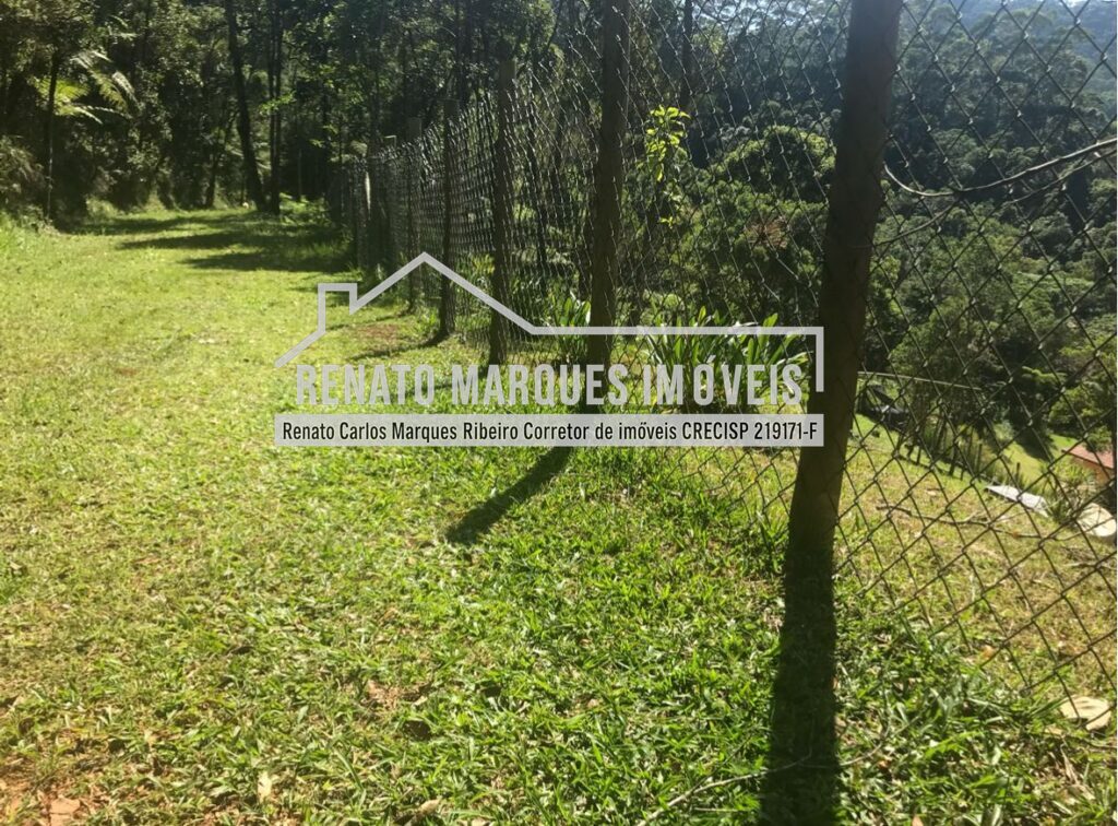 terreno-jonas-1024x756