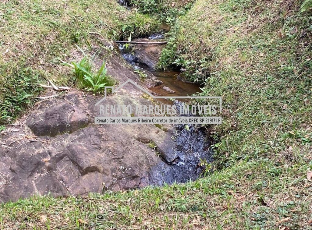 61fb52db-d979-425c-ae13-0d767961c8cc