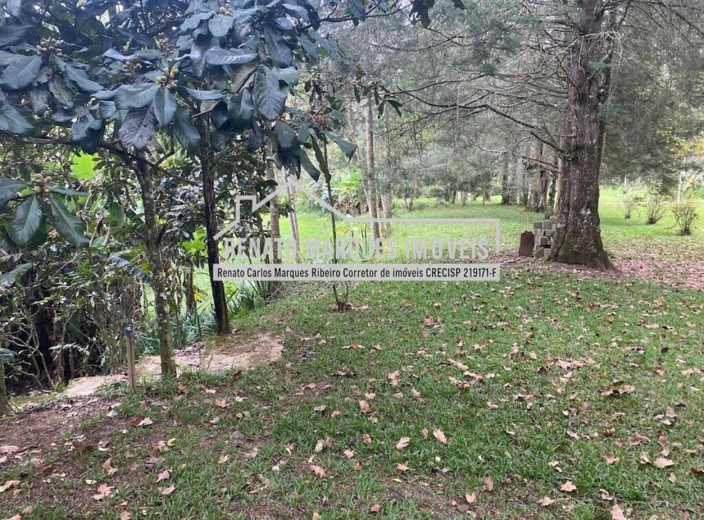 9ef5a450-c72c-4ec8-8f3a-f00042c4d1ac (1)