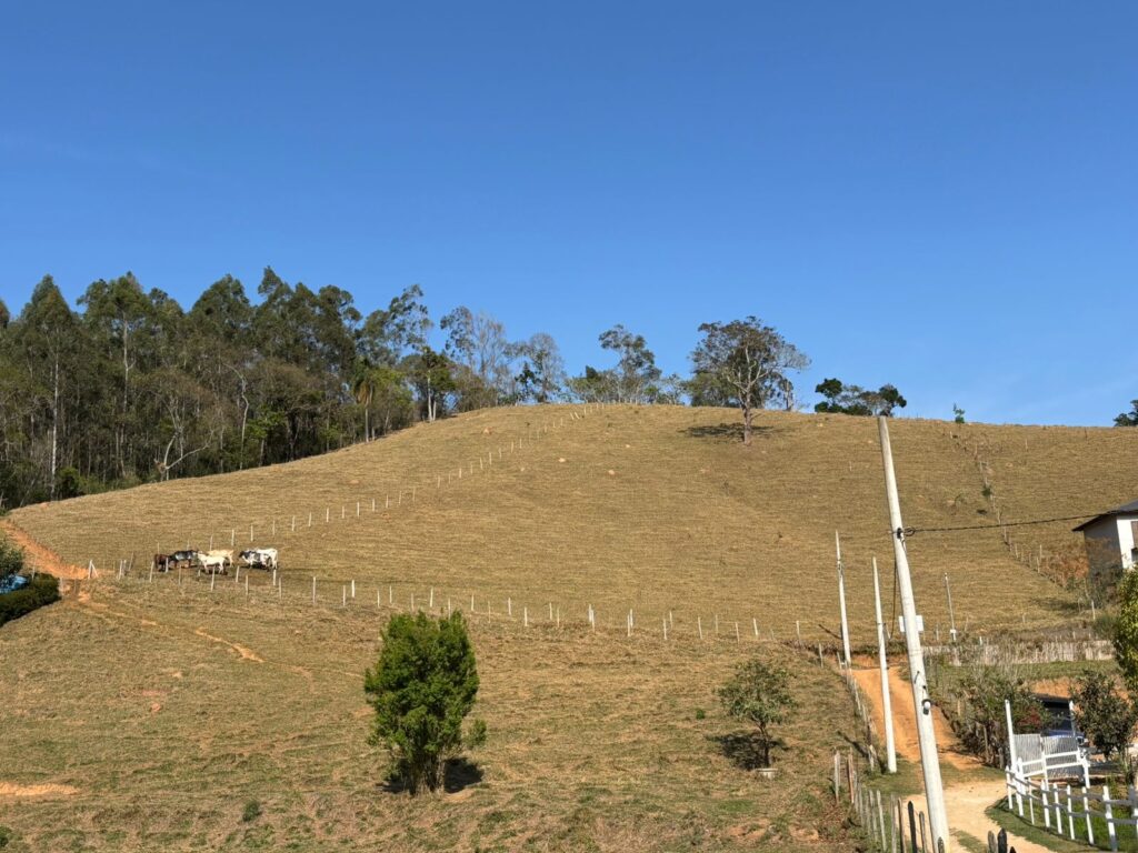 TERRENO FAZENDA VELHA (2)