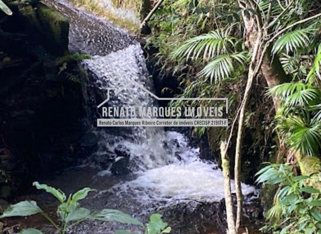 bd921558-aea6-419c-b629-4884c8602451