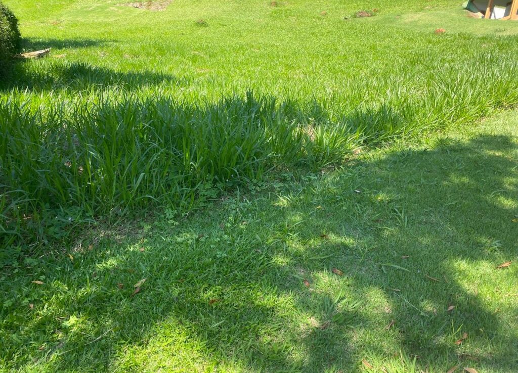 LOTE 116 PARQUE