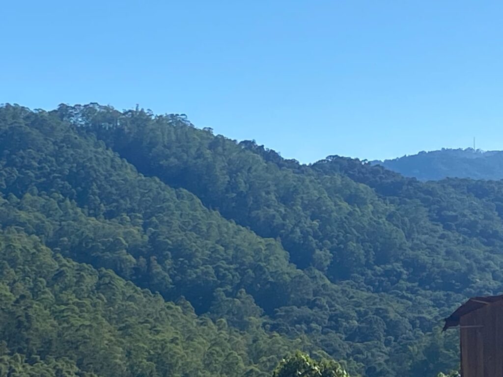 TERRENO MAIOR KAREM BARREIRO (2)