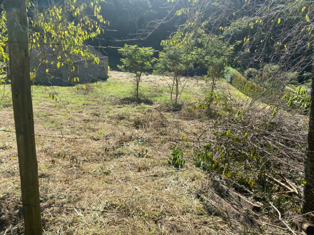 TERRENO MAIOR KAREM BARREIRO (7)