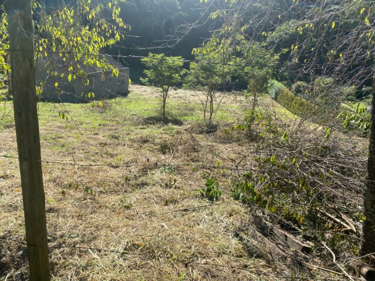 TERRENO MAIOR KAREM BARREIRO (7)