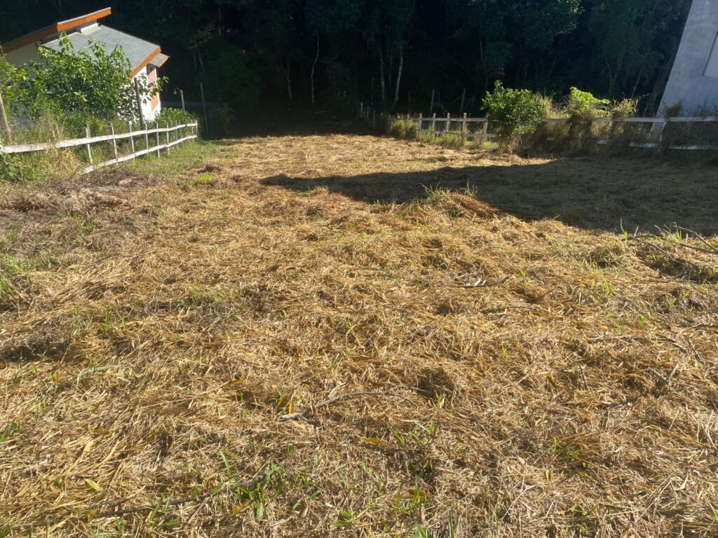 TERRENO MENOR KAREM (2)