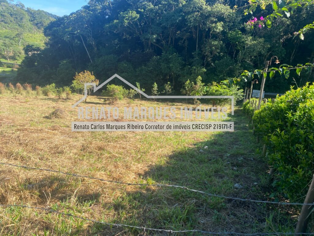 TERRENO-SELMA-10-1024x768