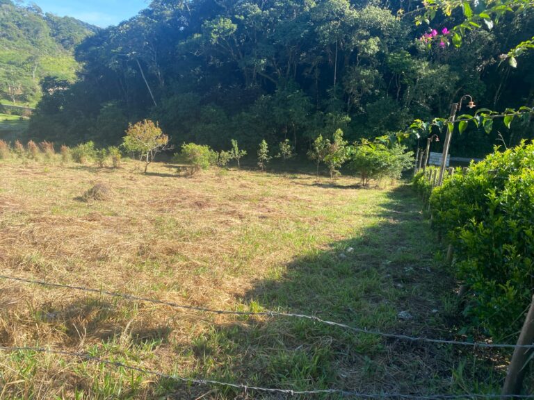 TERRENO SELMA (10)