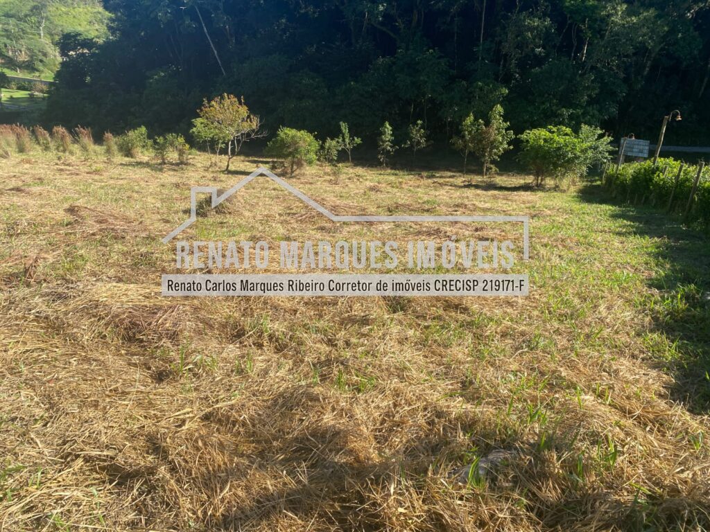 TERRENO-SELMA-1024x768