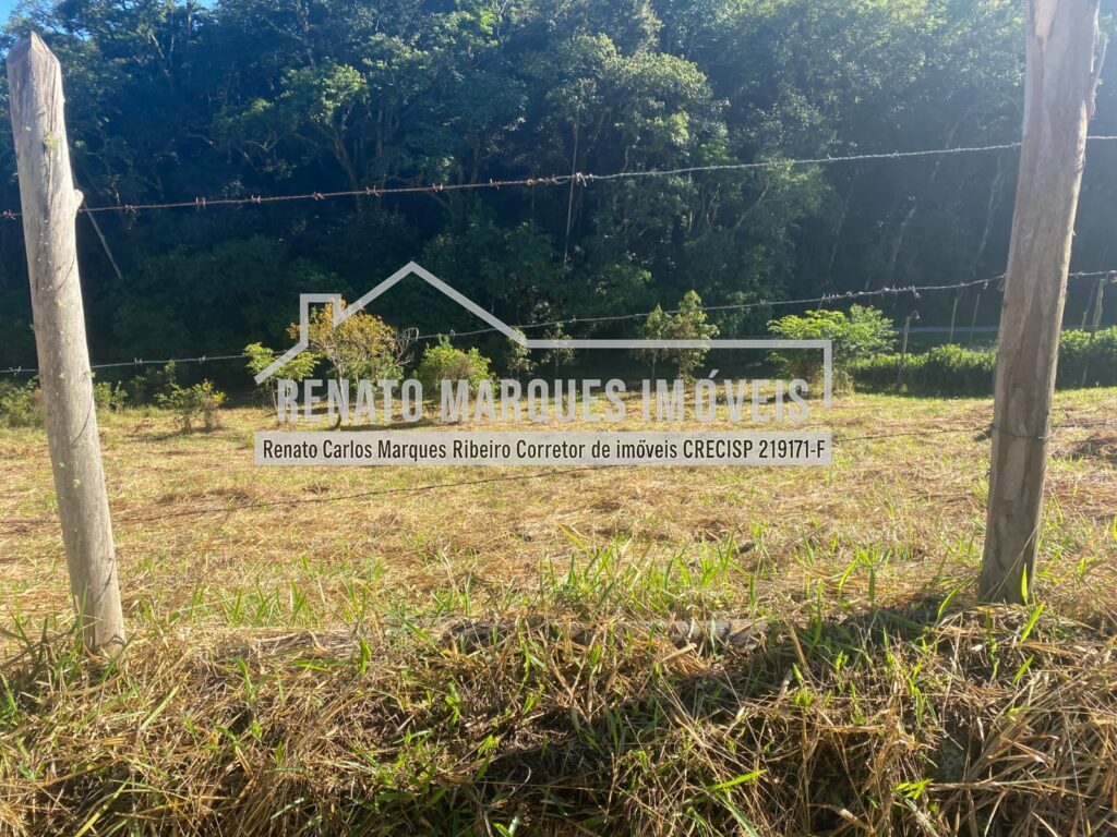 TERRENO-SELMA-2-1024x768