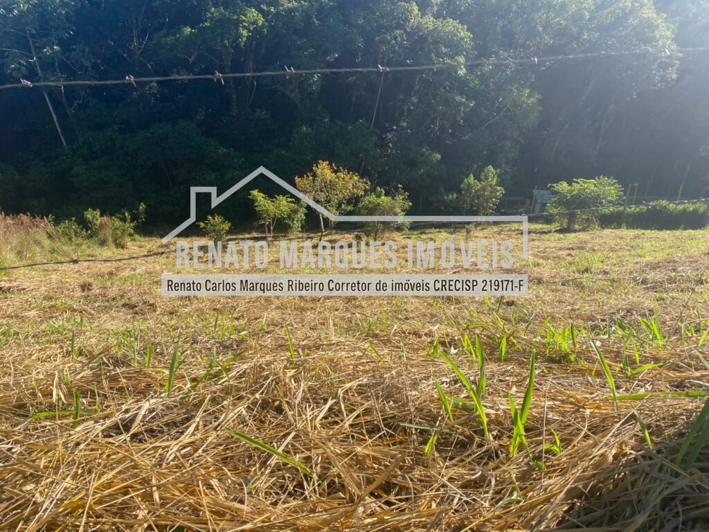 TERRENO-SELMA-3-1024x768