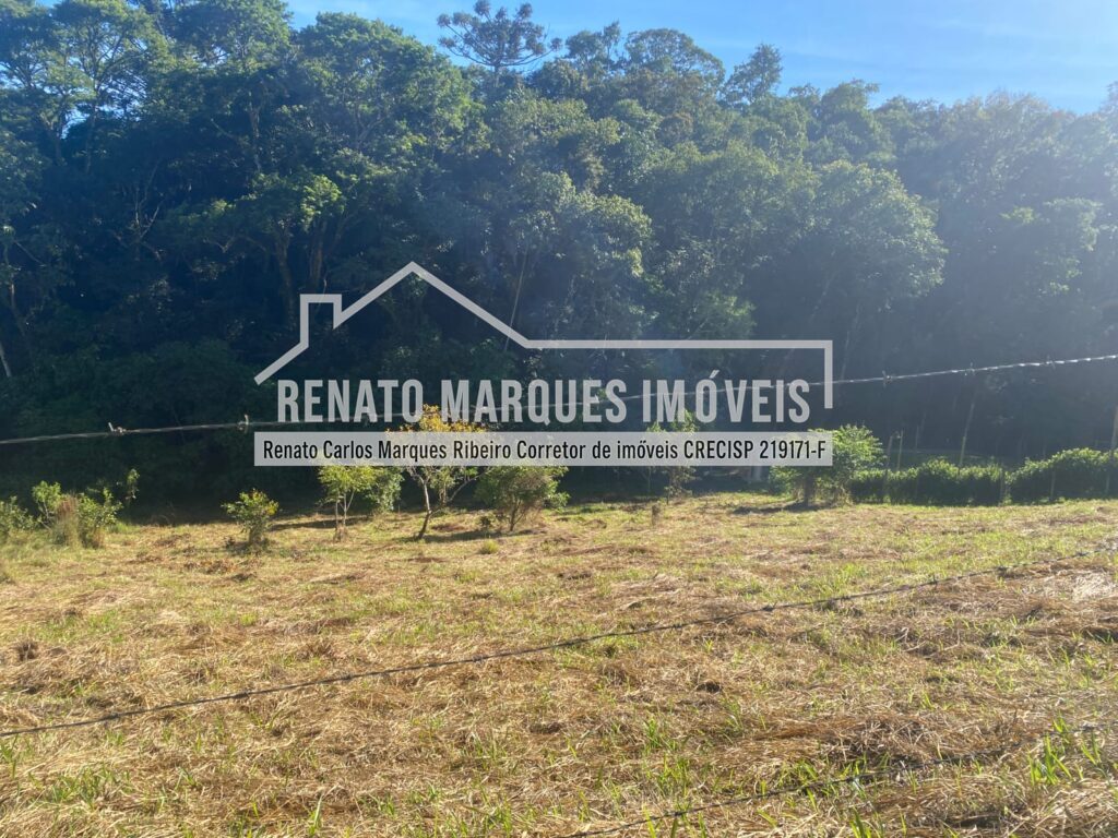 TERRENO-SELMA-4-1024x768