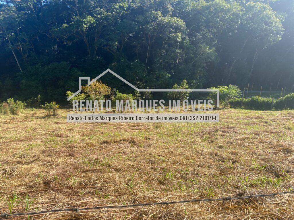 TERRENO-SELMA-5-1024x768