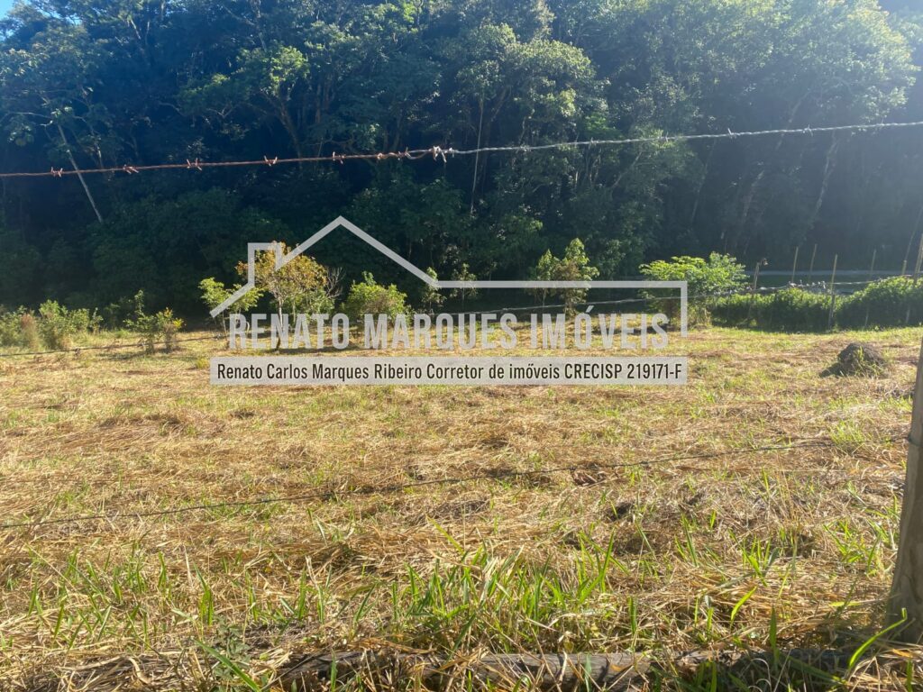 TERRENO-SELMA-6-1024x768