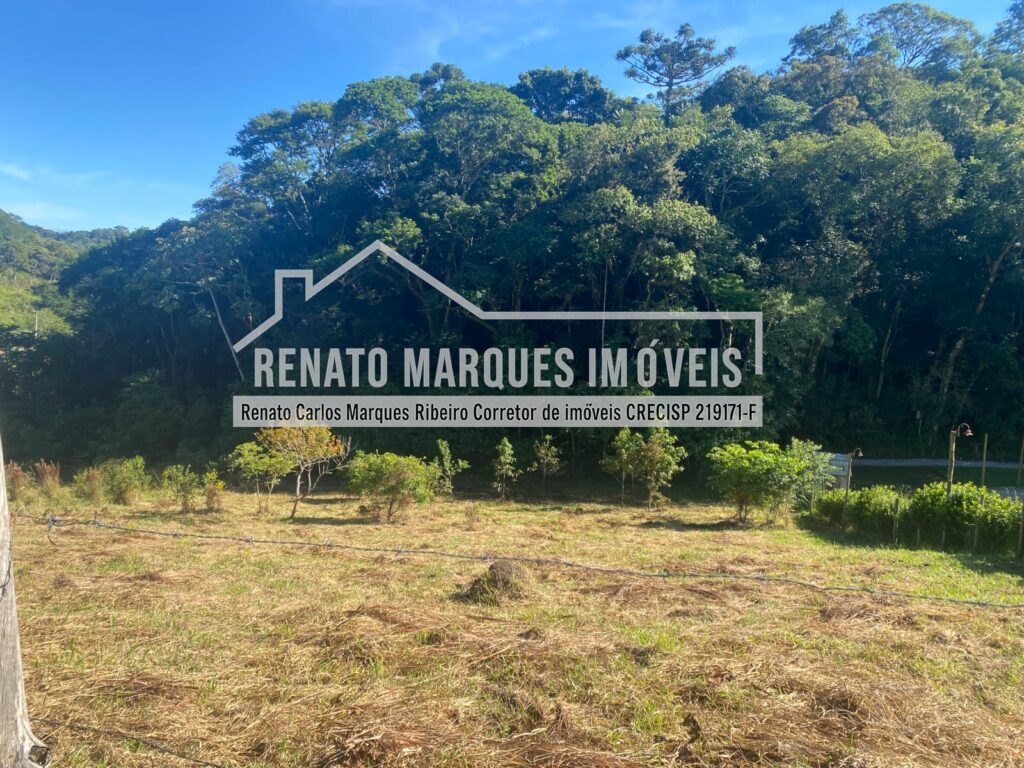 TERRENO-SELMA-8-1024x768