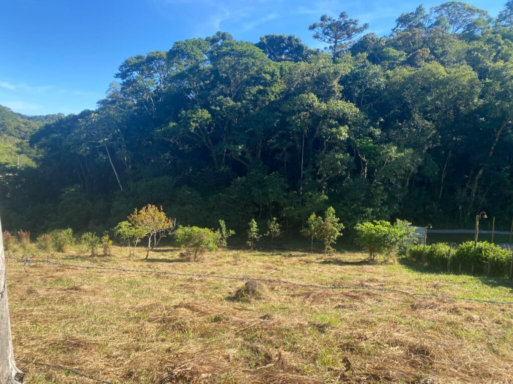 TERRENO SELMA (8)