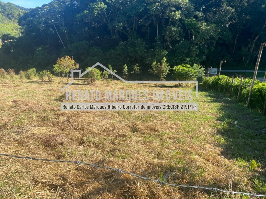 TERRENO-SELMA-9-1024x768