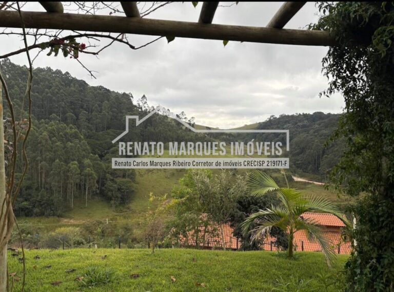 CASA-FELIC-3-1024x758