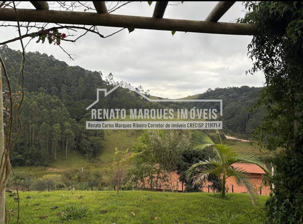 CASA-FELIC-3-1024x758