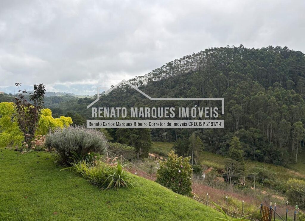 CASA-FELIC-5-1024x742