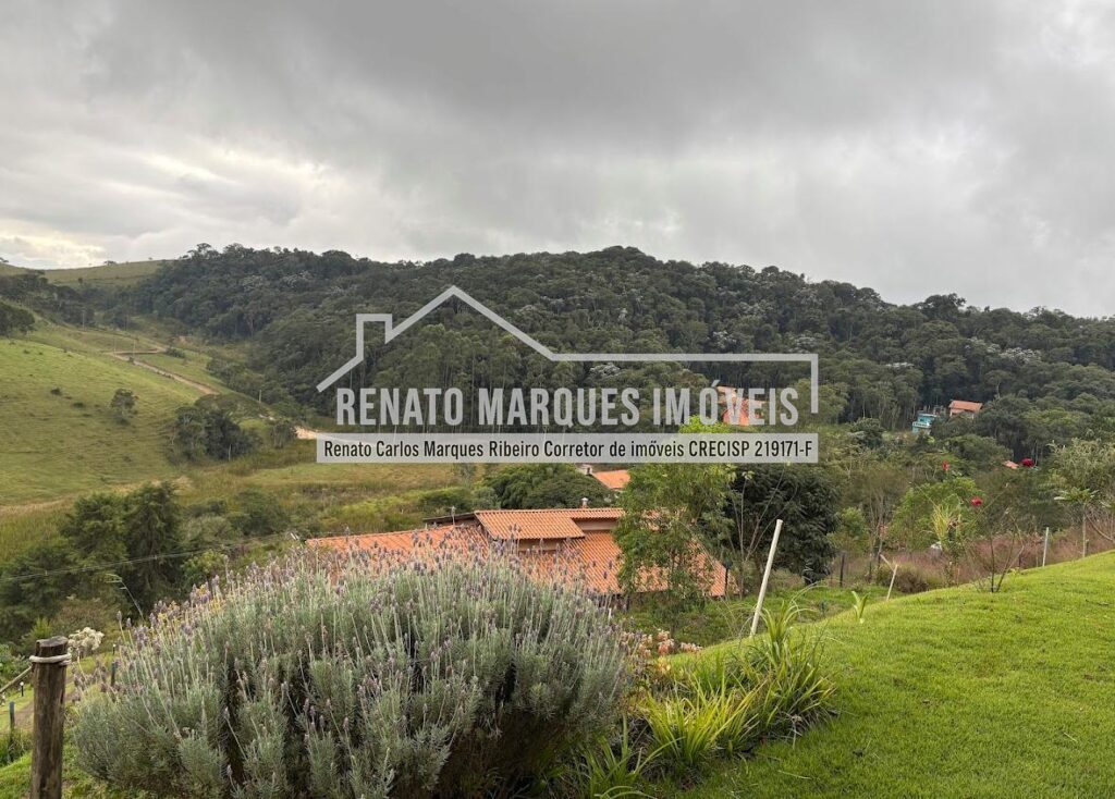 CASA-FELIC-7-1024x734