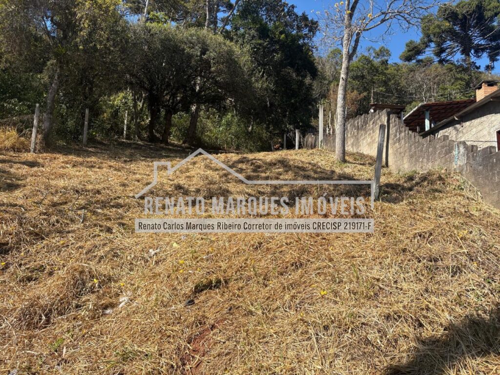 lote luc centro_page-0004