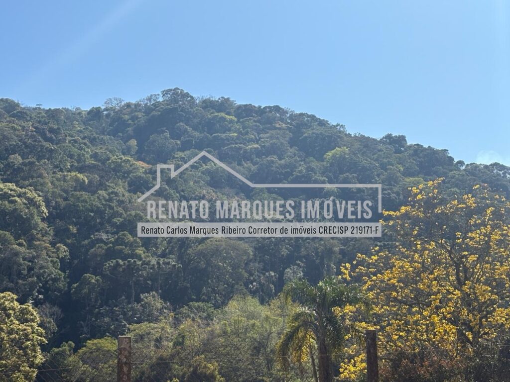 lote luc centro_page-0007