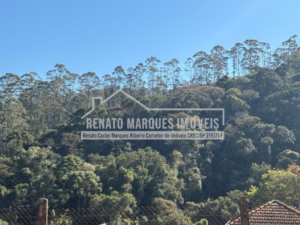 lote luc centro_page-0008