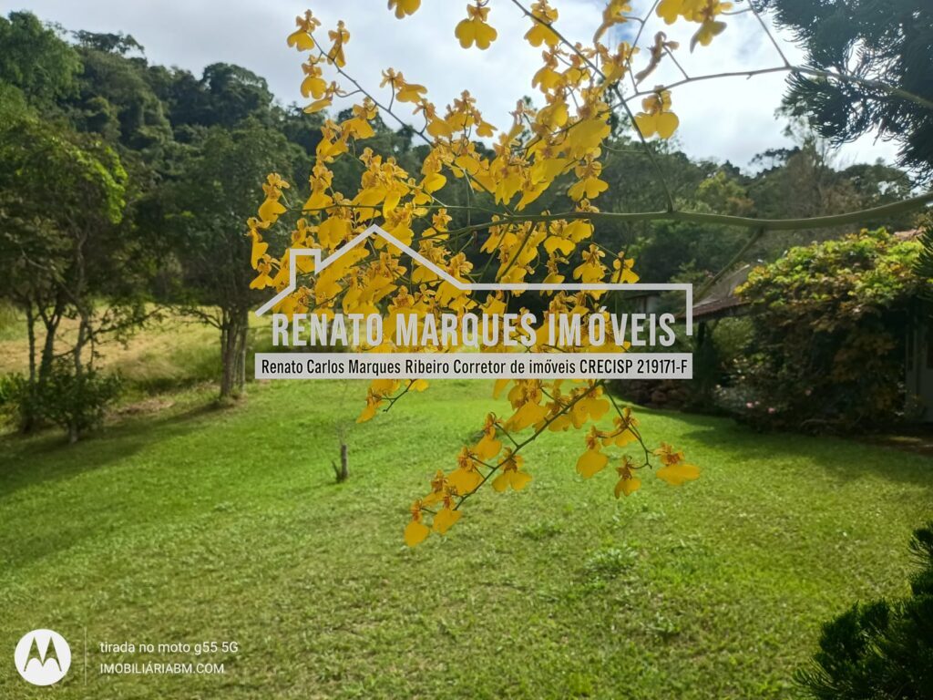 SITIO-HELENA-20-1024x768