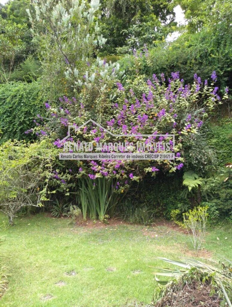 WhatsApp Image 2026-02-26 at 18.31.58